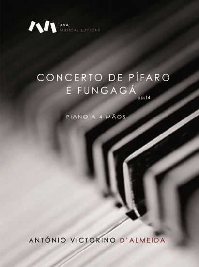 Imagem de Concerto de Pífaro e Fungágá op.14